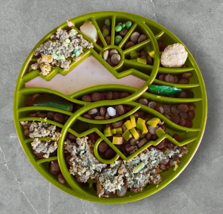 Comedouro Lento Yin Yang eTray SodaPup
