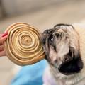Couro Bovino Discão Mastigavel Pet Bem - Roedor para cães