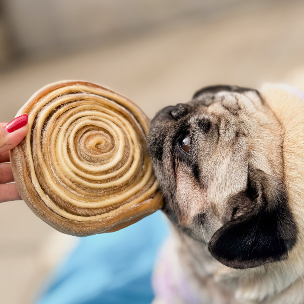Couro Bovino Discão Mastigavel Pet Bem - Roedor para cães