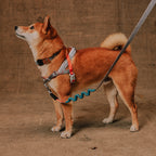 Peitoral Antipuxão SofterWalk para Cachorros Reebok Suede