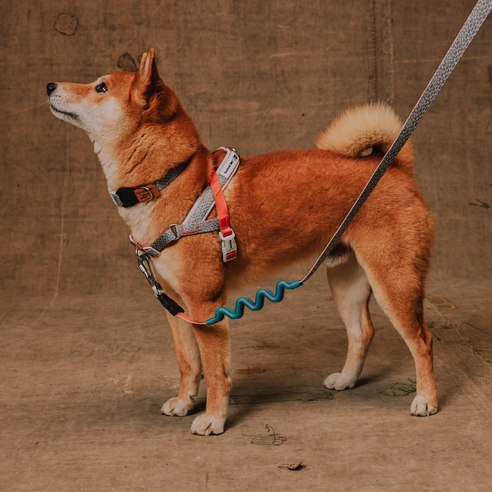 Peitoral Antipuxão SofterWalk para Cachorros Reebok Suede