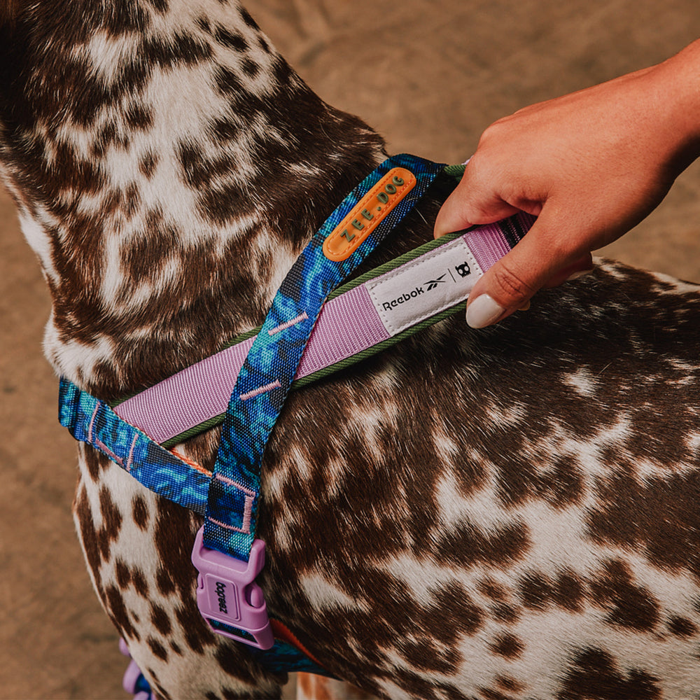 Peitoral Antipuxão SofterWalk para Cachorros Reebok Trekk