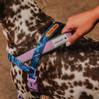 Peitoral Antipuxão SofterWalk para Cachorros Reebok Trekk