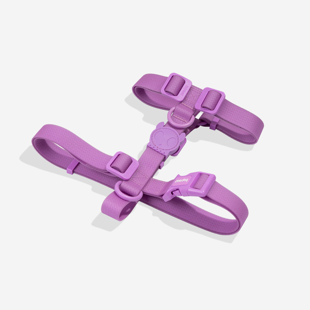 Peitoral para Cachorros H NeoPro Ultra Violet Zee.Dog
