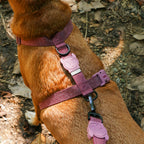 Peitoral H Naturals Hibiscus Zee.Dog