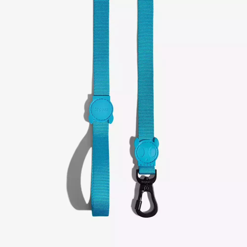 Guia Para Cachorros Ultimate Blue Zee Dog