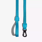 Guia Para Cachorros Ultimate Blue Zee Dog