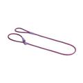 Slip-on Rope Leash Cosmo Guia Unificada 2 em 1 Para Cachorros Zee Dog