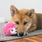 Kong Comfort Hedgehug Puppy XS Pelúcia para Cachorro