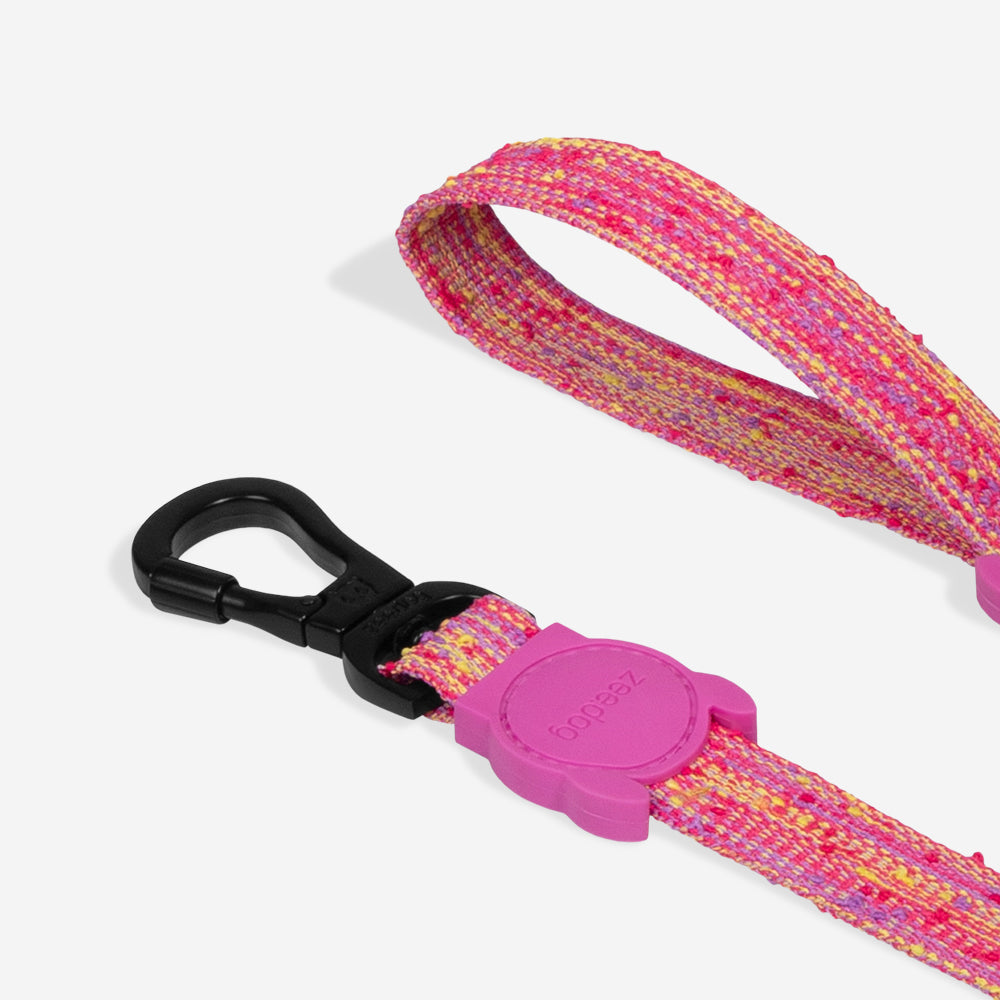 Guia para Cachorros Fuse Chop Zee.Dog
