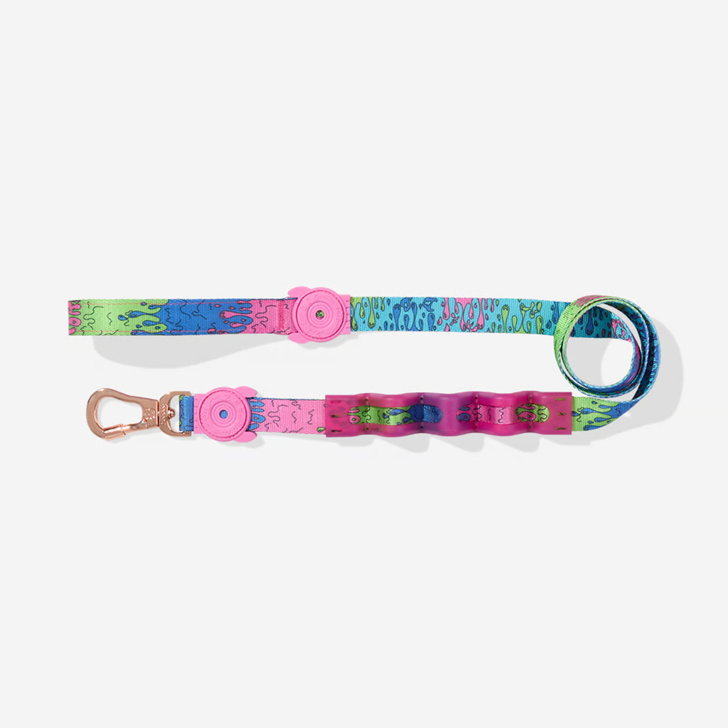 Guia Zeedog Com Amortecedor Ruff Leash Melted