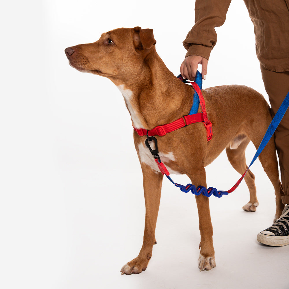 Peitoral Para Cachorros Zee Dog Softer Walk Antipuxão Marvel Homem-Aranha