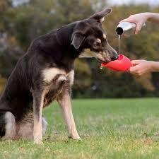 Kong H2O Garrafa Térmica Para Cães Aço Inoxidável 740ml