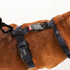 Zee Dog Peitoral H Marvel Pantera Negra para Cães