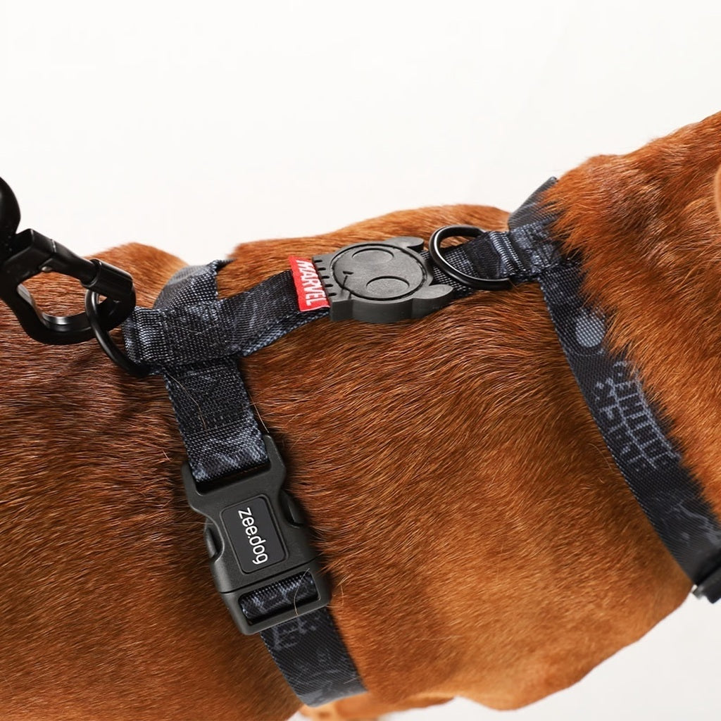 Zee Dog Peitoral H Marvel Pantera Negra para Cães