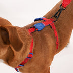 Zee Dog Peitoral H Marvel Homem Aranha para Cães