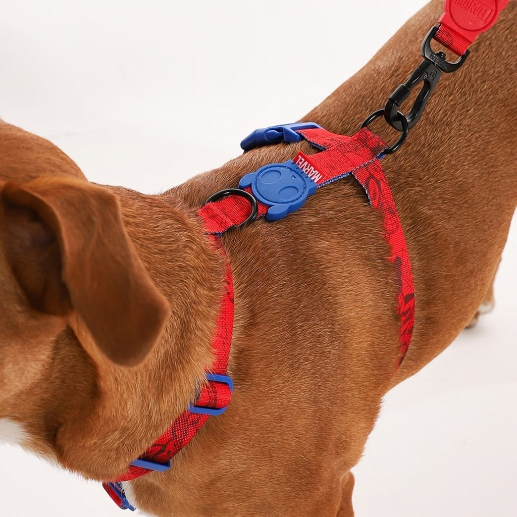 Zee Dog Peitoral H Marvel Homem Aranha para Cães