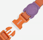 Coleira para cachorros ZeeDog Neopro Iris