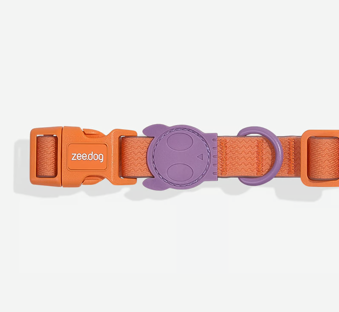 Coleira para cachorros ZeeDog Neopro Iris