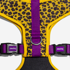 Peitoral para Cachorros Air Mesh Ajustável Honey Zee.Dog