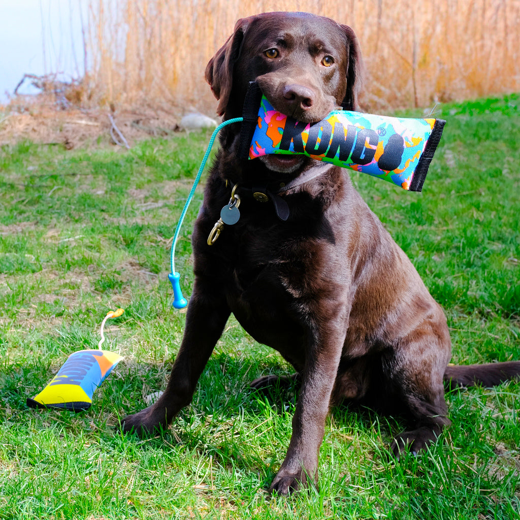 KONG Bunji High-Viz Bumper Médio - Brinquedo para cães