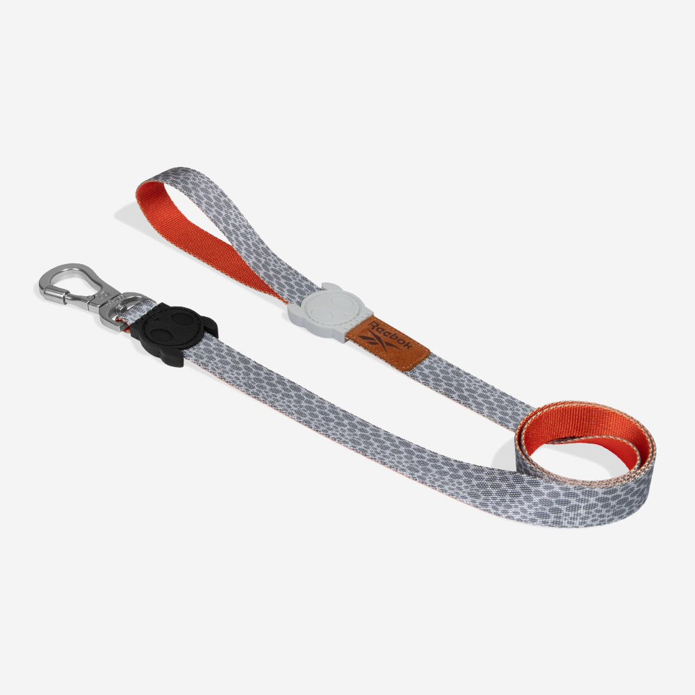 Guia para Cachorros Reebok Suede