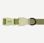 Coleira para cachorros ZeeDog Moss