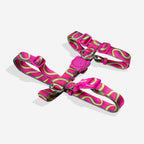 Zee Dog Peitoral para Cachorros H H3D Jelly
