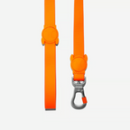 Guia para cachorros ZeeDog Neopro Tangerine