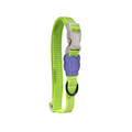 Coleira para cachorros ZeeDog Nox Lumen
