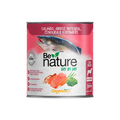 Alimento Úmido Natural Organnact Be Nature Para Cães Idosos Salmão Arroz Integral Cenoura Espinafre 300g