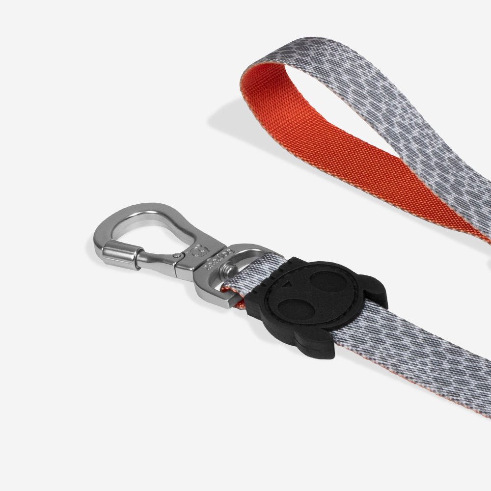 Guia para Cachorros Reebok Suede