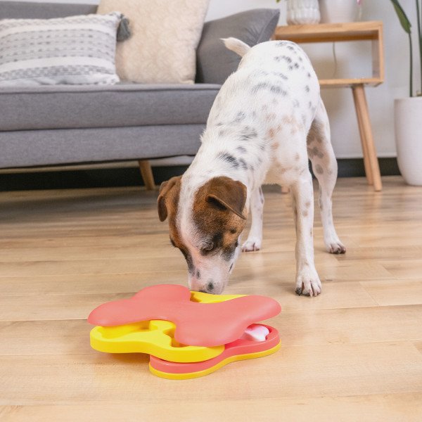 Outward Hound Dog Tornado Pink