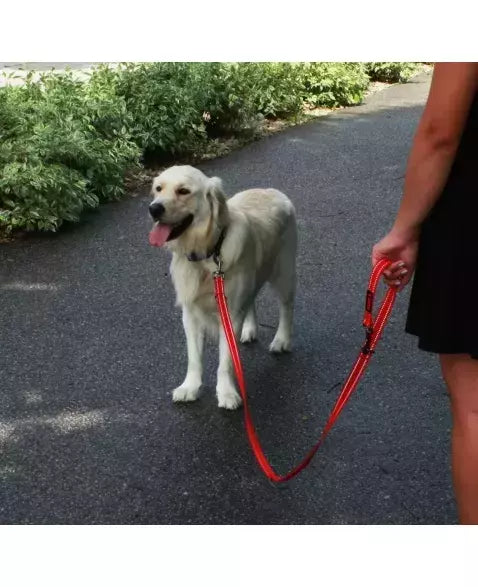 Kong Guia Refletiva Ajustável 2 metros M/L Para Cachorros