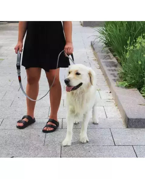 Kong Guia Refletiva Traffic Leash 1,5 Metros S/M Para Cachorros