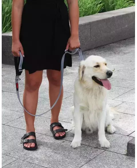 Kong Guia Refletiva Traffic Leash 1,5 Metros S/M Para Cachorros