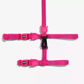 Peitoral Com Guia Para Gatos Pink Led Zee Dog