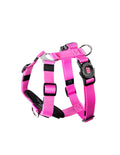 Peitoral H MemoPet Rosa MyFamily