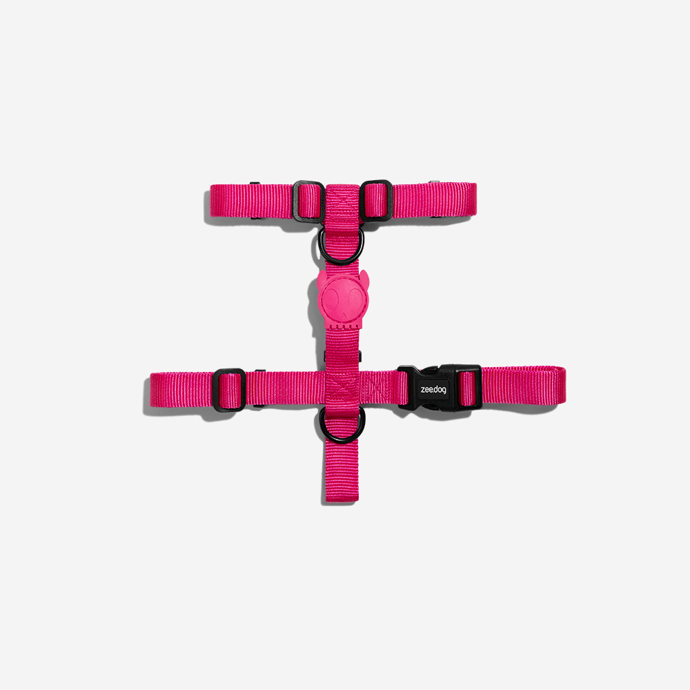 Peitoral H Para Cachorros Pink Led Zee Dog