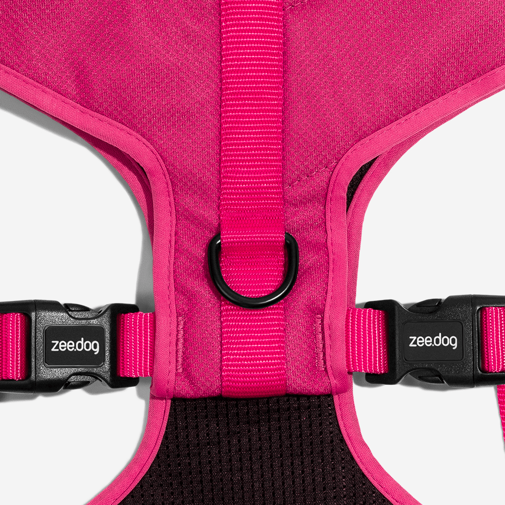 Peitoral Air Mesh Ajustável Pink Led Para Cachorros Zee Dog