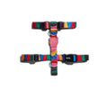 Peitoral H para Cachorros Chroma Zee.Dog