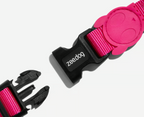 Coleira para cachorros ZeeDog Pink Led