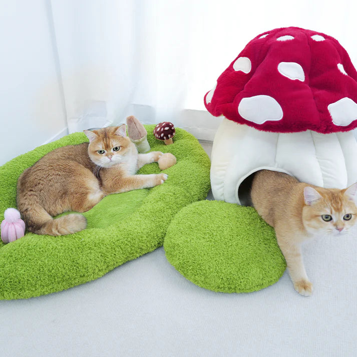 Qmonster toca para pets - Casinha de Cogumelo