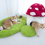 Qmonster toca para pets - Casinha de Cogumelo
