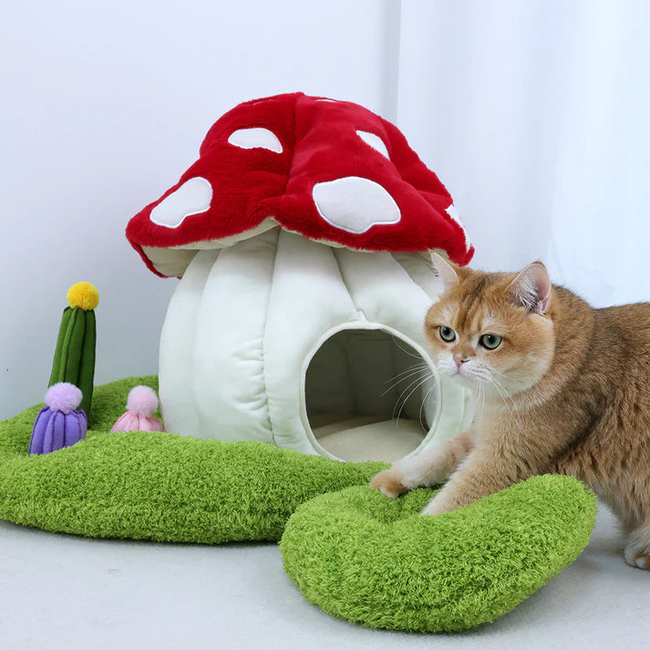 Qmonster toca para pets - Casinha de Cogumelo