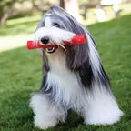 Kong Squeez Crackle Grande - Brinquedo para cachorro