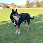 KONG Bunji High-Viz Ball Grande - Bola para cachorros