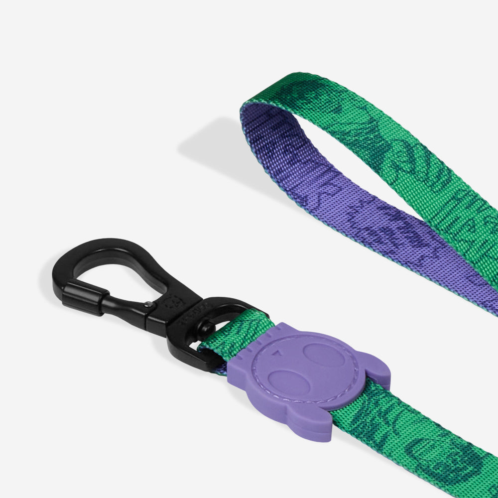 Guia Para Cachorros Zee Dog Marvel Hulk