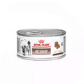 Royal Canin Recovery Lata Canine e Feline Veterinary Diet Recovery Wet - 195 g