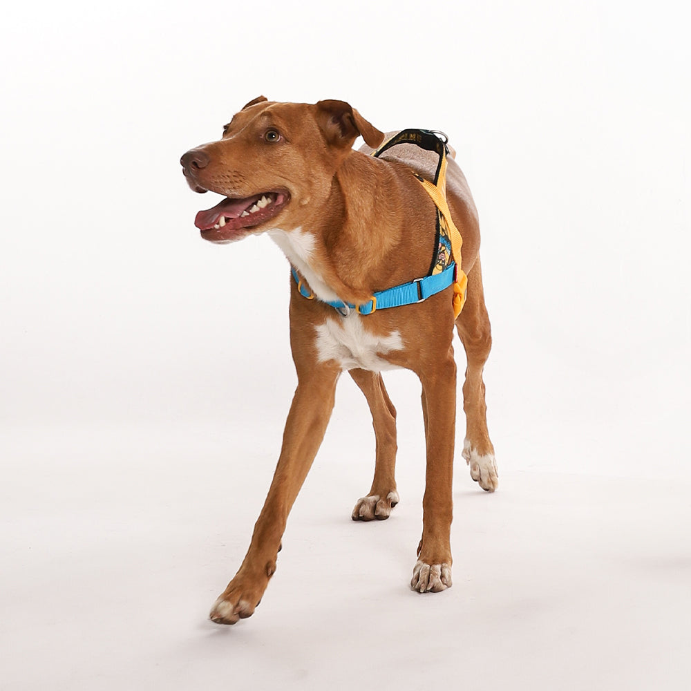 Peitoral Para Cachorros Zee Dog Softer Walk Antipuxão Marvel Wolverine